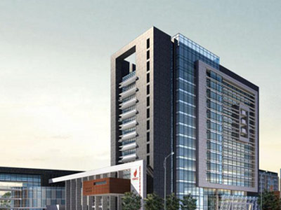 海外公司设立案例展示